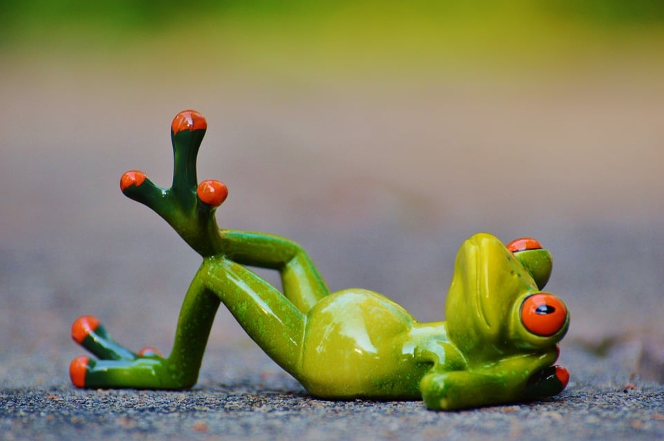 [Image: Relaxing-Frog.jpg]