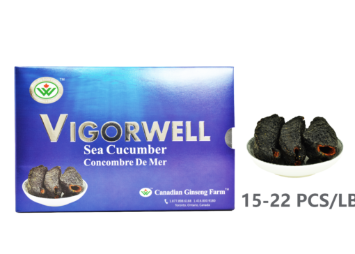 Vigorwell Sea Cucumber (Jumbo 200G/7.0OZ)