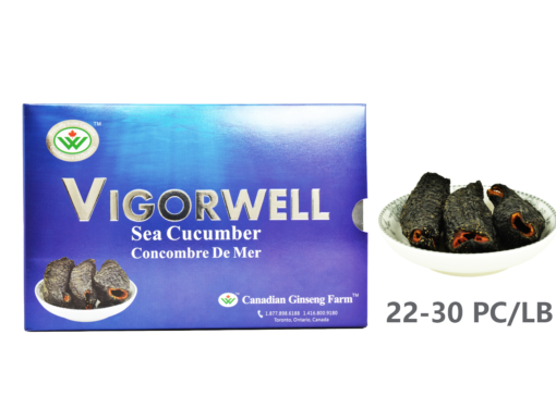Vigorwell Sea Cucumber (Large 200G/7.0OZ)