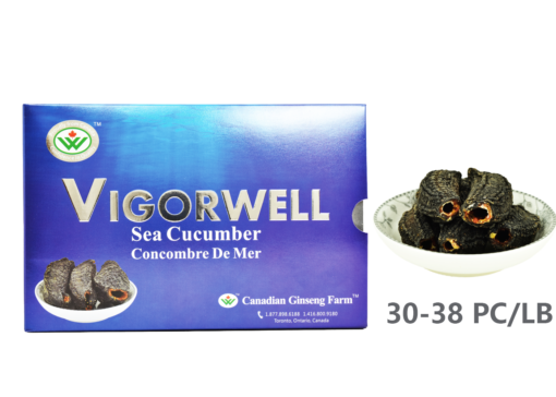 Vigorwell Sea Cucumber (Regular 200G/7.0OZ)