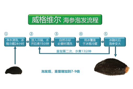威格维尔 . 一级海参 22-30头 (200克/7.0盎司) - 图片 8