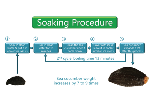 Vigorwell Sea Cucumber (Regular 200G/7.0OZ) - Image 8