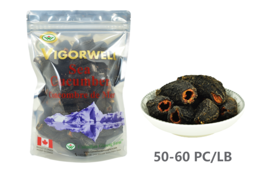 Vigorwell Sea Cucumber (Small 1LB/454G/16OZ)
