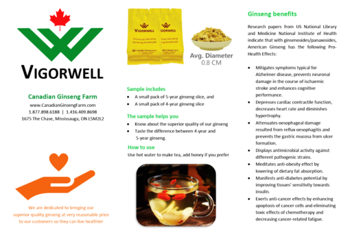 Vigorwell Ginseng Sample: 5 Gram 4-Year + 5 Gram 5-Year Small Slice - Image 6