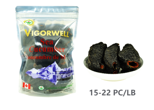 Vigorwell Sea Cucumber (Jumbo 1LB/454G/16OZ)