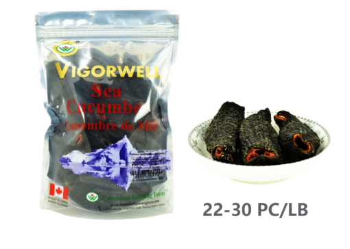 Vigorwell Sea Cucumber (Large 1LB/454G/16OZ)