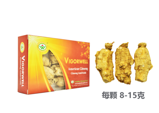 威格维尔 . 四年一级短泡西洋参 (150克/5.3盎司)