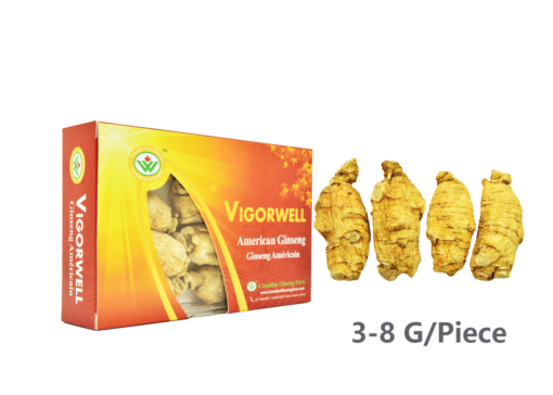 Vigorwell 4-Year Short-Chunky American Ginseng (150G/5.3OZ)