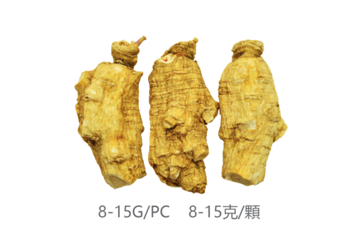 威格維爾 . 四年一级短泡花旗參 (150克/5.3盎司)：圖片 2