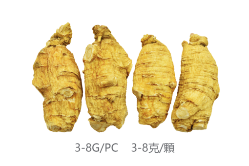 威格維爾 . 四年短泡花旗參 (150克/5.3盎司)：圖片 2