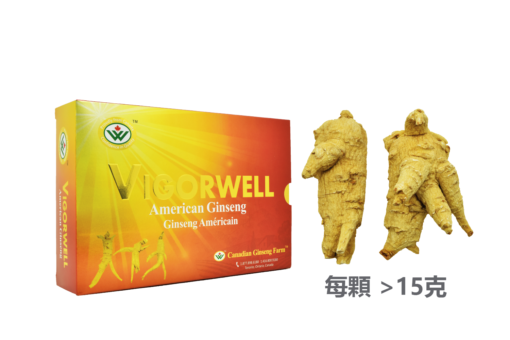 威格維爾 . 精選特級大泡參 (200克/7.0盎司)-包郵中國