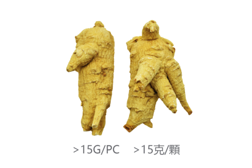 威格維爾 . 精選特級大泡參 (200克/7.0盎司)-包郵中國：圖片 2