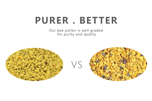 Vigorwell Plateau Bee Pollen Granules (227G/8.0OZ) - Image 8