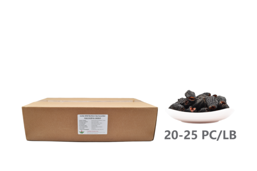 Wholesale: Jumbo Wild Northern Sea Cucumber (20LB/9.08KG)-Shipped to China-Save 35%