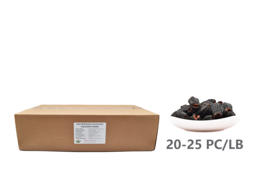 Wholesale: Jumbo Wild Northern Sea Cucumber (20LB/9.08KG)-Save 30%