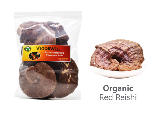Vigorwell Organic Red Reishi Mushroom (1LB/454G/16OZ)