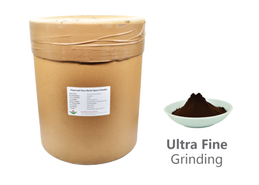 Wholesale: Pure Reishi Spore Powder (22LB/10KG)-Save 31%, Sold Out, New Product Available in June 2025