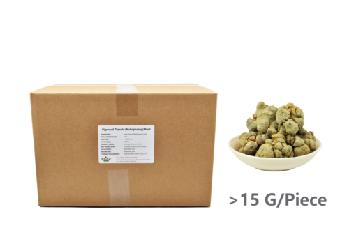 Wholesale: Large Tienchi (Notoginseng) Root (22LB/10KG)-Save 46%