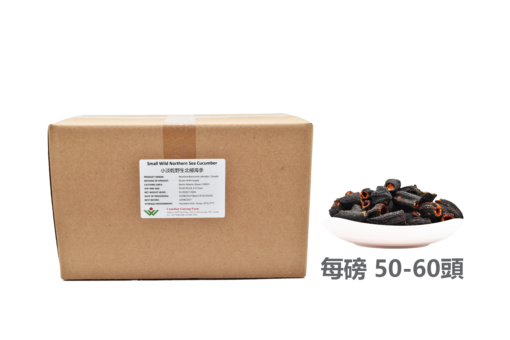 量販批發：小北極海參 50-60頭 (16磅/7.26公斤)-節省20%