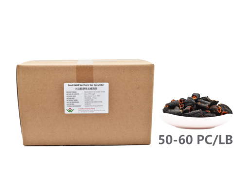 Wholesale: Small Wild Northern Sea Cucumber (16LB/7.26KG)-Save 20%