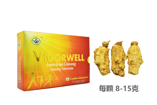 威格維爾 . 四年一级短泡花旗參 (227克/8.0盎司)-包郵中國