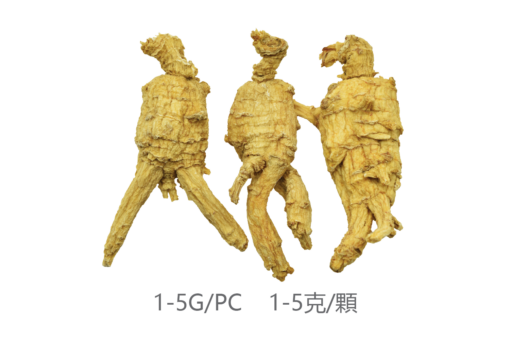 威格维尔 . 五年原枝小泡西洋参 (150克/5.3盎司)-包邮中国 - 图片 2
